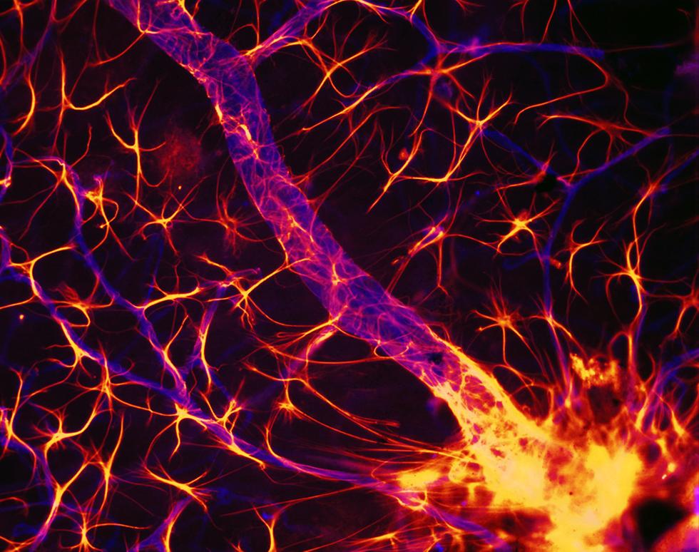 Astrofire - Salome Murinello